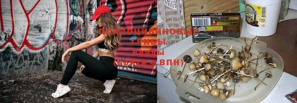метадон Баксан