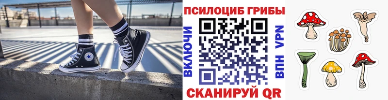 omg зеркало  Макаров  Псилоцибиновые грибы ЛСД 
